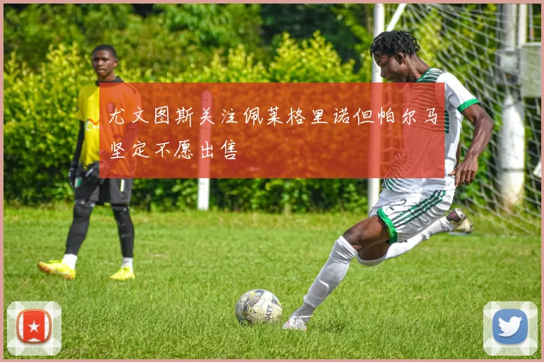 尤文图斯关注佩莱格里诺但帕尔马坚定不愿出售